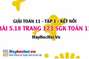 Giải bài 5.18 trang 123 Toán 11 tập 1 SGK Kết nối tri thức
